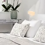 Milos 2*